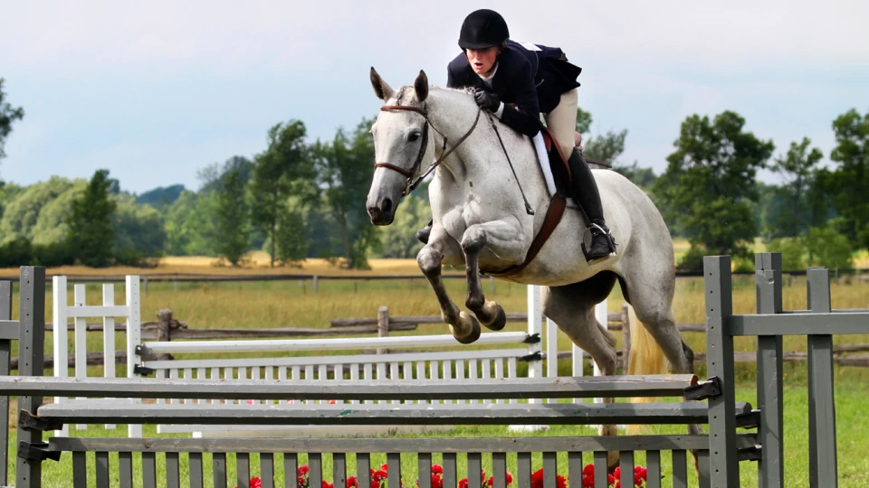 an equestrian riding a horse in a competition