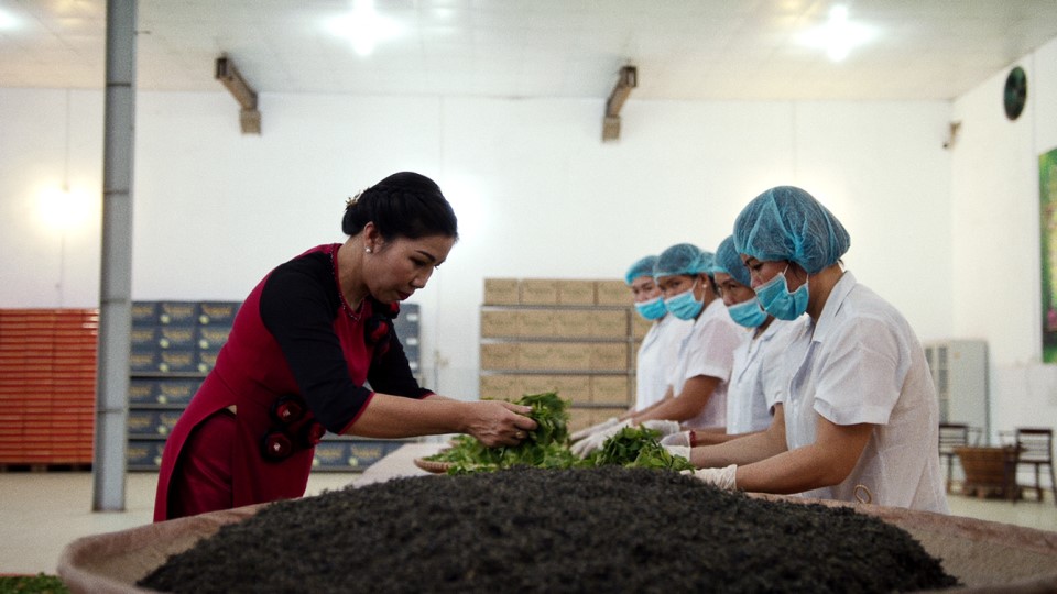 Women working with soil and plants in a business